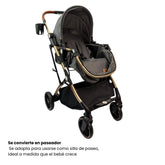 Coche Moisés Small Gris Maxibaby Paseador
